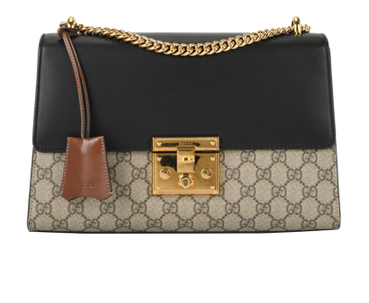 Medium Padlock, front view